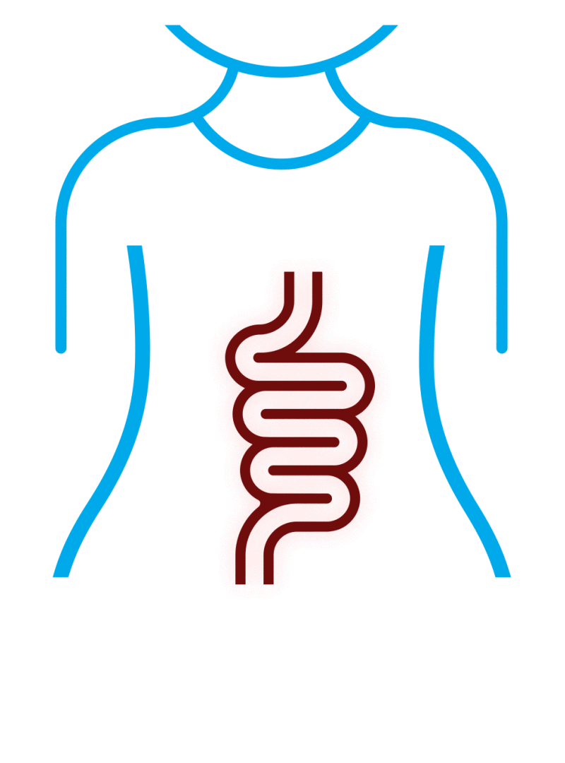 Nesajar® Es un antiespasmódico, regulador del tránsito intestinal y supresor de gases