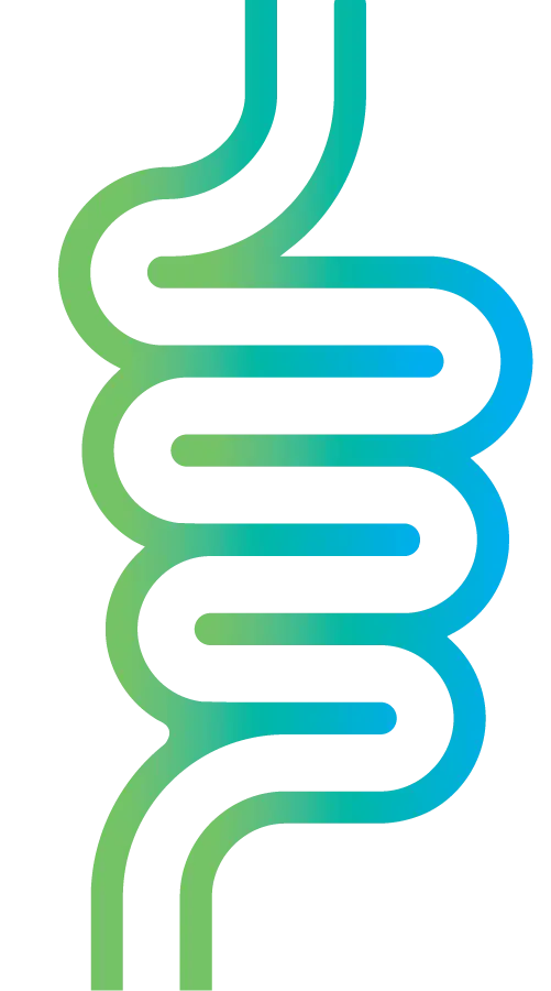 intestino del logo de nesajar